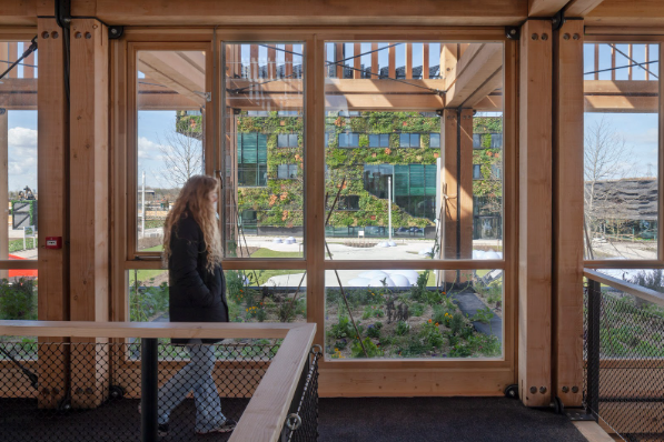 Screenshot 2022 11 05 124022 | BeautexWood