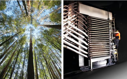 Weathertex What is | BeautexWood