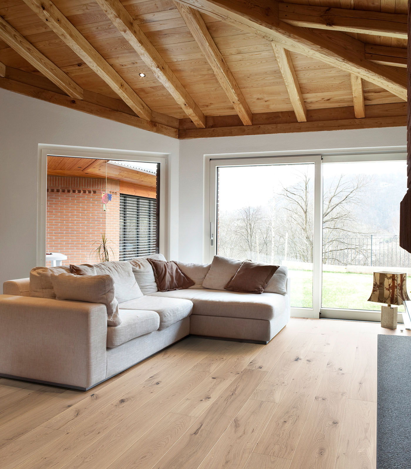 Alpamayo 1 | BeautexWood